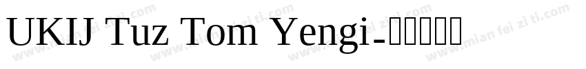 UKIJ Tuz Tom Yengi字体转换